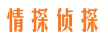 连江侦探公司